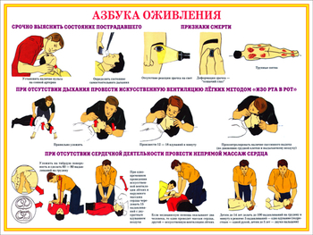 ПВ05 Первая помощь при чрезвычайных ситуациях (самокл.пленка, А3, 9 листов) - Плакаты - Медицинская помощь - Магазин охраны труда ohranatruda-shop.ru